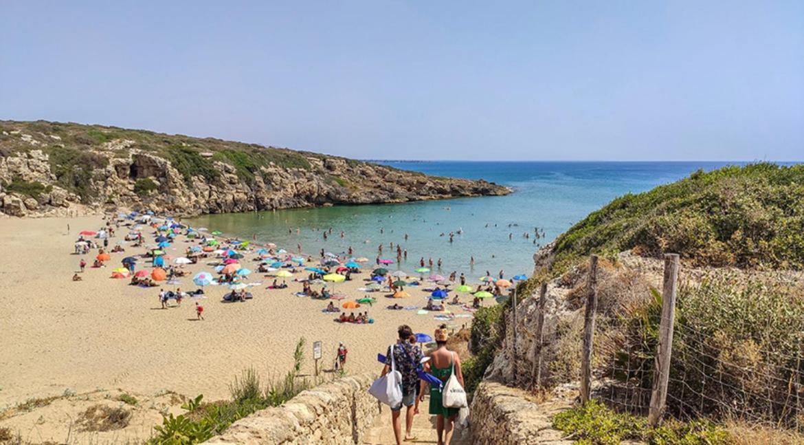 Sfea Сasa de vacaciones